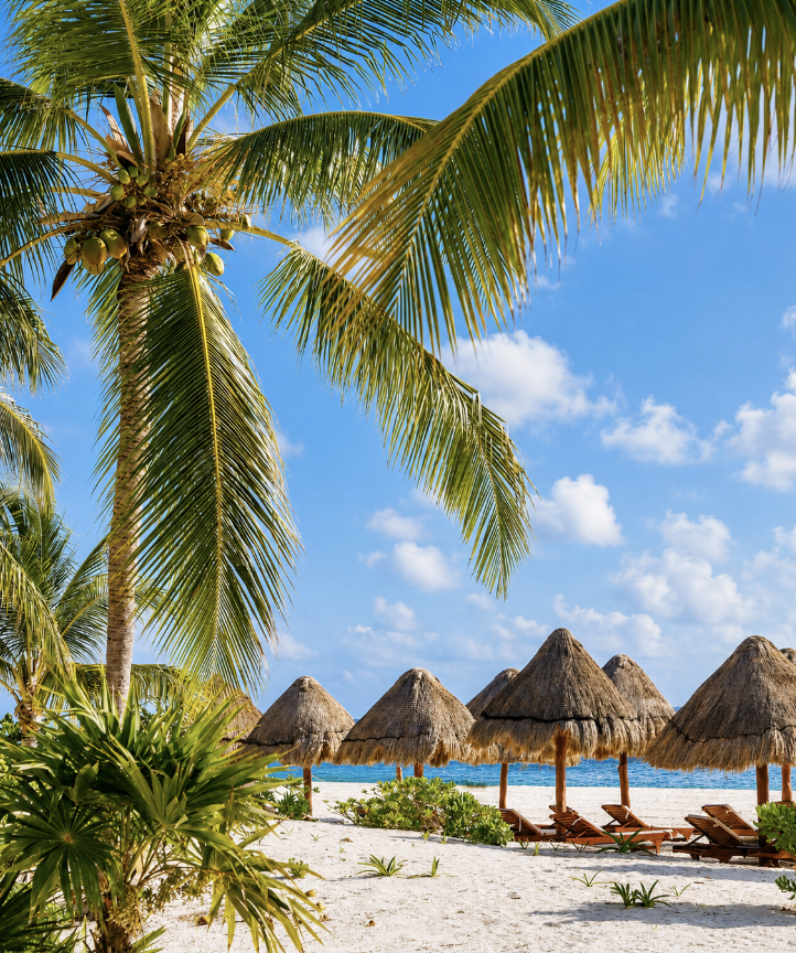 Playa del Carmen or Cancún: Where Should You Actually Stay?